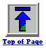 Top of Page